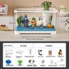 Goldfish Tank Desktop Aquarium with Filtration, Oxygenation, and Lid - Ecological Landscaping All-in-One for Living Room Household Use.
