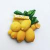 Frankrijk Reizende Koelkaststickers Provence Menton Lyon Toerisme Souvenirs Koelkastmagneten Huwelijksgeschenken Woondecoratie Ambachten