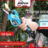 BAIPUXI Cordless Electric High Branch Pruning System CN Plug (adapter Included)