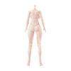 AIEK 1/12 Scale Sexy Beautiful Female 2D Action Figure, Large Bust, Body Set, Skin Tone 1.0