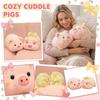 Plush Toys, Cute And Perfect Birthday Gifts For Friends And Classmates, Graduation Gifts