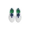 Nike Flex Runner 2 PS White Stadium Green Kids Joggesko Summit-White Pure-Platinum Deep-Royal-Blue DJ6040-102