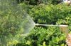 High-Pressure Car Wash Water Gun with Retractable Soft Hose & Nozzle for Tap Water & Flower Watering