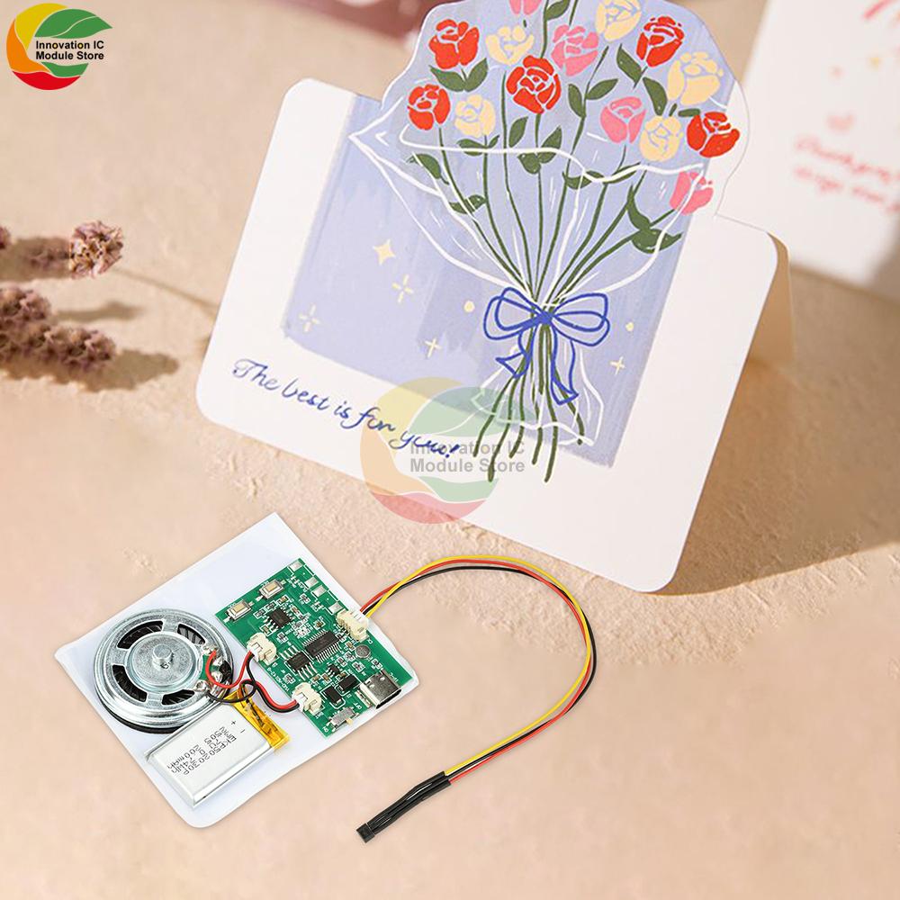 Handmade DIY Recording Module Voice Audio Module For 1D Book And Greeting Card Movement With 8M Capacity Type-c Interface
