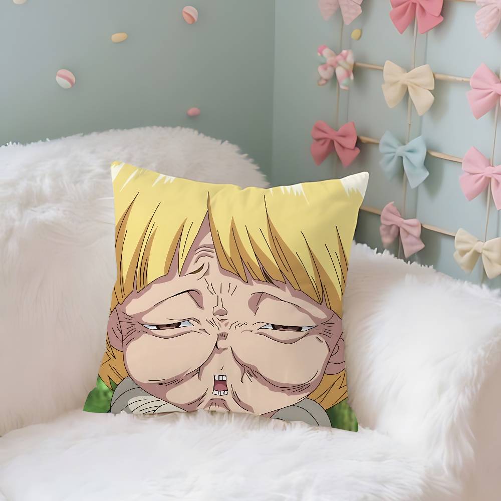 Dr. Stone Case Plush Fabric Soft Pillowcase Double Sided Print Cushion Cover Household Gifts