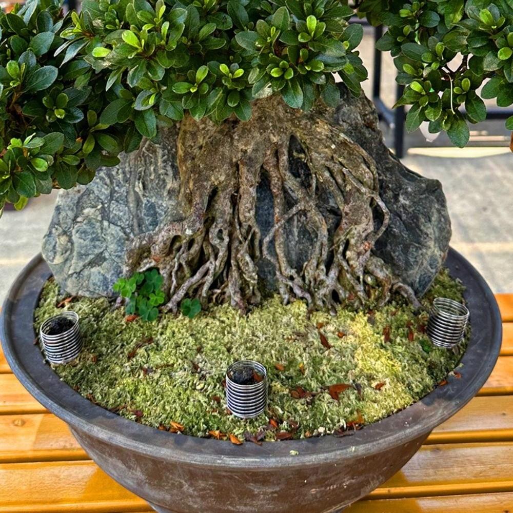 10Pcs Column Shape Plant Fertilizer Baskets Slow Release Plant Growth Box Potted Plants