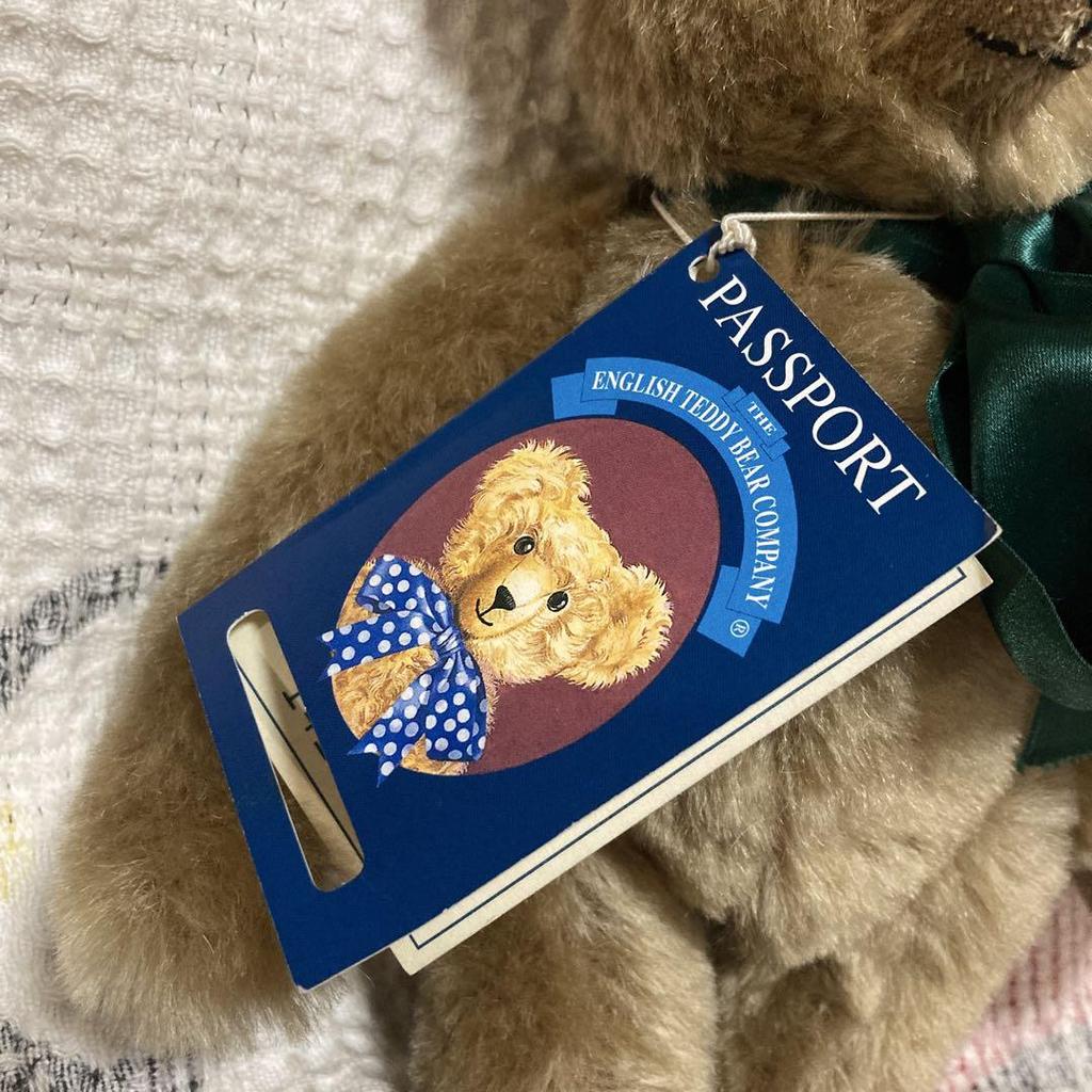 [USED] Used Teddy Bear from the English Teddy Bear Company