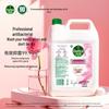 Dettol Reumplere Săpun Antibacterian Hidratant pentru Mâini, 5L