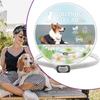 Calming Collar For Dogs Adjustable Pheromone Cat Calming Collar Adjustable Calm Diffuser Lasts 60 Days Pet Supplies For Small