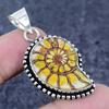 Natural Ammonite Fossil Gemstone 925 Sterling Silver Jewelry Pendant 1.81" Y4K10