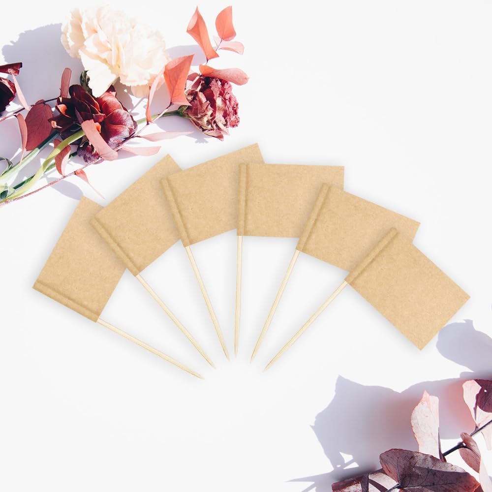 Toothpicks Flag Cheese Markers 100 Pcs Fancy Toothpicks For Appetizers Food Labels For Party Buffet Food Signs For Party Buffet Cupcake Toppers
