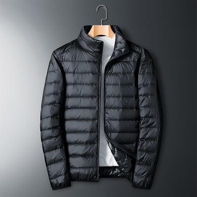 2024 Men's Stand-Collar Lightweight Down Cotton Jacket - Warm, Fashionable, and Casual Couple Outerwear for Autumn/Winter.