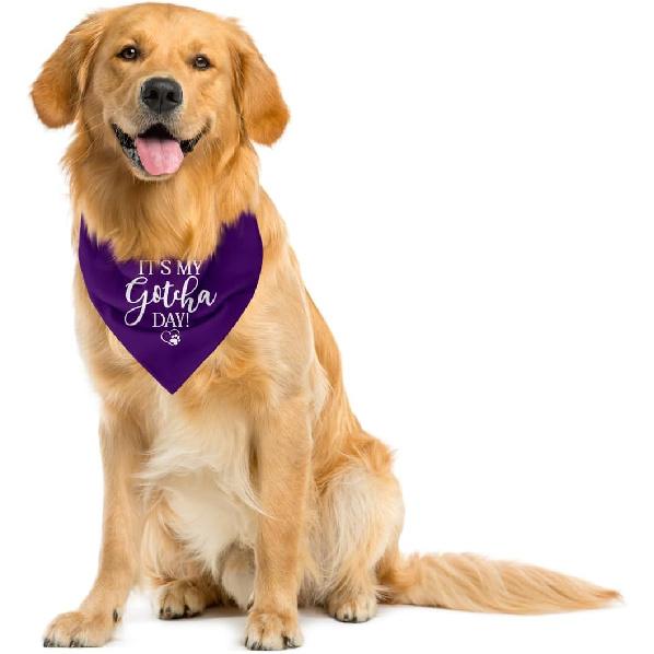 It's My Gotcha Day Dog Bandana, Purple Flannel Dog Bandana, Adoption Day Gifts, Pet Scarf (C55)