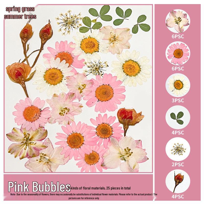 Handmade Pressed Flower Bookmark and Epoxy Sticker Pack with Real Leaf and Plant Specimens for DIY Face Makeup.