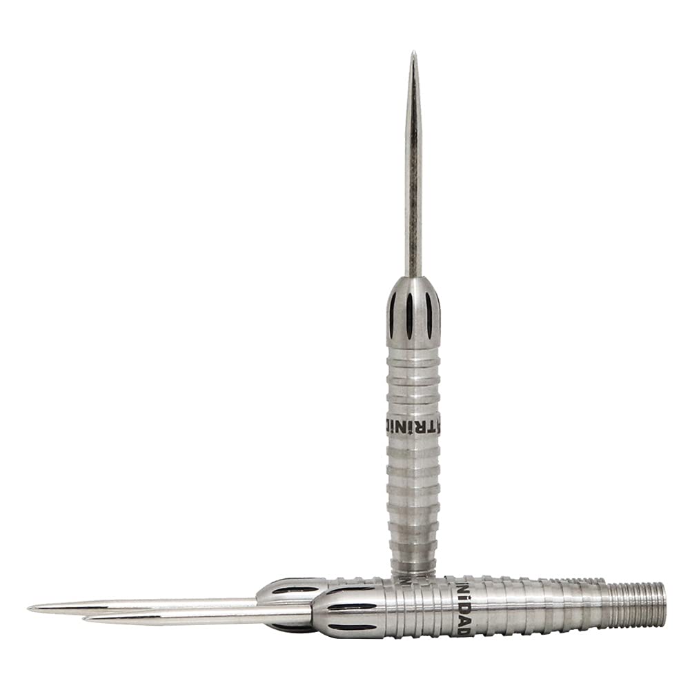 TRiNiDAD PRO Trinidad Pro Chavez Type3 Chavez Type 3 STEEL Shunsuke Sagara Player Model Dart Barrel Dart Set