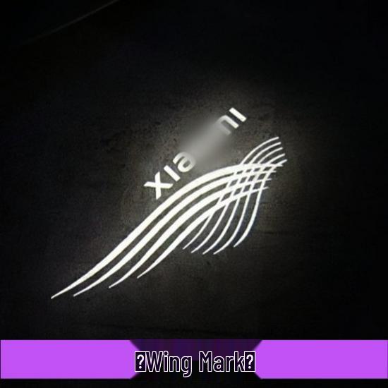 SU7 YU7 Car Door Welcome Light: Pro MAX Projection Sensor Accessory