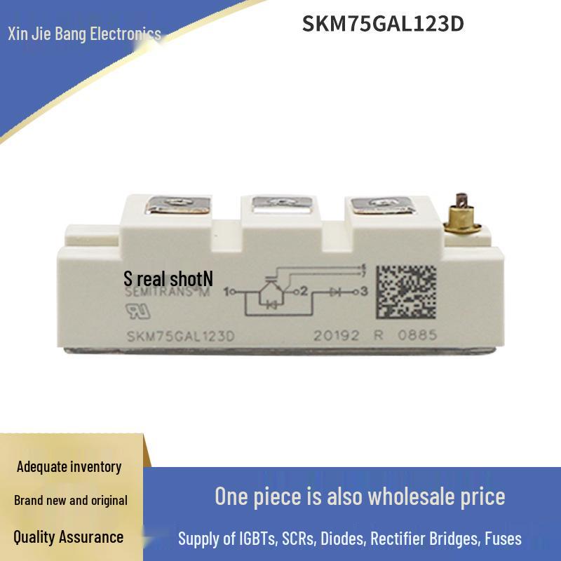SKM50GAL128D SKM75GAL128D SKM100GAL128D High Voltage IGBT, Original Box & Packaging