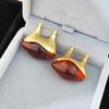 1Pair Retro Brown Transparent Resin Drop Earrings Matte Metal Geometric Hoop Earrings For Women  Simple Metal Jewelry