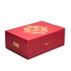Nike Air Zoom GT Cut 4 EP CNY 'Rok koně' IB6728-100