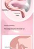 Play Love Little Monster Vibrator - Powerful Suction & Strong Shock Female Masturbation Toy, Insertable Egg for Adult Use