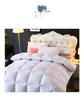 All-Season Double Quilt with Feather Velvet Cover for Autumn/Winter - Hotel-Quality Silk Cotton Quilt Core