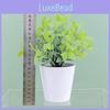 Konstväxt Inomhus Utomhus Dekor Plastkruka Grönska Bordsdekoration För Hem Kontor
