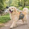 Leak Proof Male Dog Physiological Pants Washable Breathable Pet Sanitary Pants Reusable Adjustable Dog Diapers Estrus Period