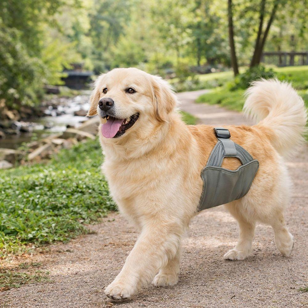 Leak Proof Male Dog Physiological Pants Washable Breathable Pet Sanitary Pants Reusable Adjustable Dog Diapers Estrus Period