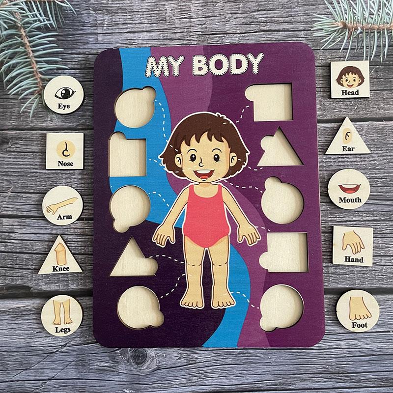 Montessori Human Body Parts Structure Wooden Puzzles Toys Parish Organs Cognitive Open Learning Educational Toys Matching Game