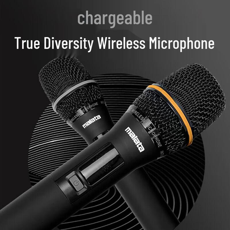 Malata Portable High-Power Karaoke Trolley Speaker