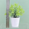 Buxus Rehd Sinica Eucalyptus Robusta Potted Plant Faux Indoor Decor Home For