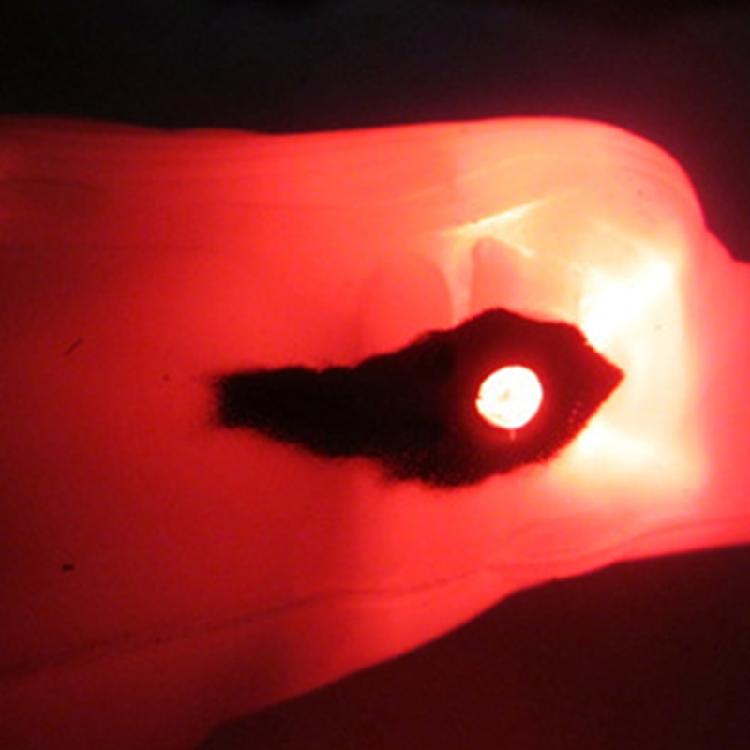 Simulation Electronics Eagle Luminous Bird Repellent Hanging Eagle with Light
