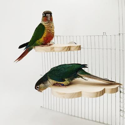 Pet Bird Stand Natural Wood Flower Cloud Shape Bird Perch Platform Stand