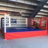 TEZEWA MMA Octagon Boxing Ring