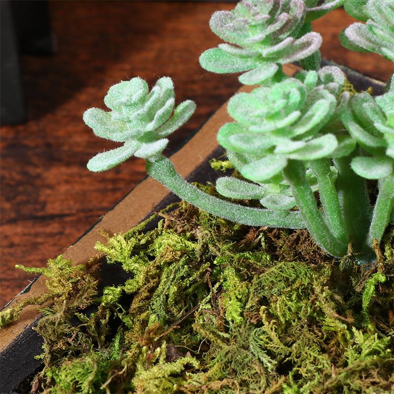 50/100/500g Artificial Moss Simulation Fake Green Plant Landscape Decorative DIY