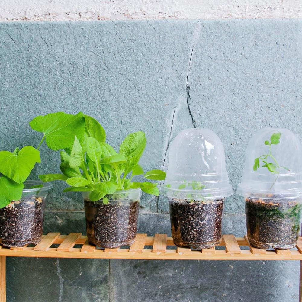 10/5x Seed Plant Nursery Pots Elegant Plastic Easy Use Plant Contai Mini Flowerpot Inside Succulents Gardening Supplies Planters