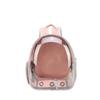 Portable Cat Backpack For Outdoors Breathable Pet Carrier Double Shoulder Dog And Cat Bookbag Space Design Cat Supplies