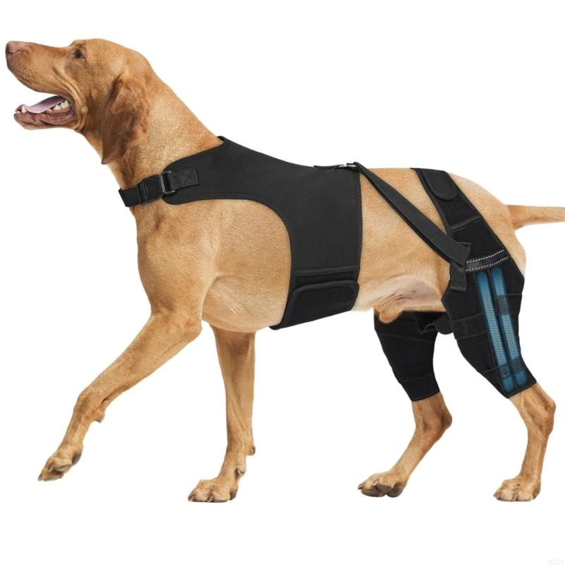 Dog Rear Leg Support Brace For Tear And Hip Dysplasia With Adjustable Strap And Stabilizers Leg Support B03E
