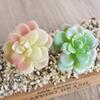 Lifelike Cute Home Cafe Decor Artificial Succulent Echeveria Foliage Plants1