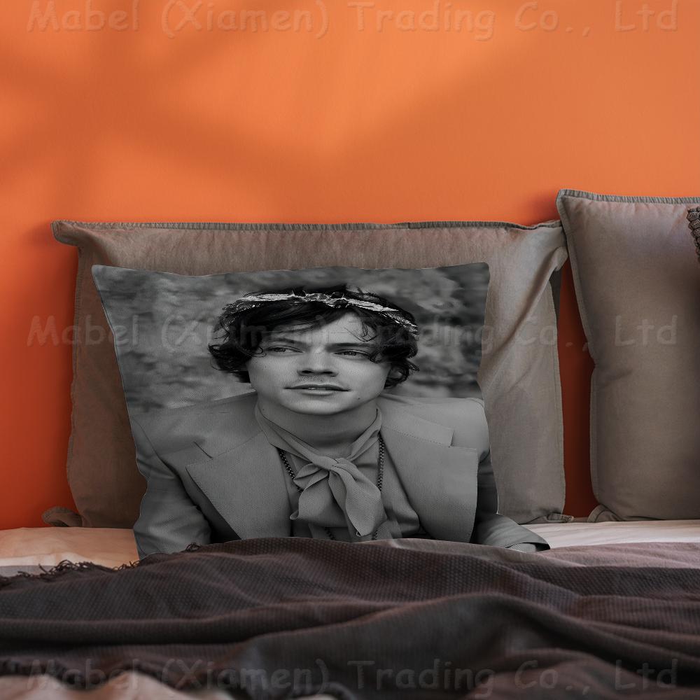 Sänger H-Harrys S-Styles Personalisierte Bildtext Heimdekorationskissen Haushaltsgeschenke 45x45cm