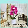 Butterfly Orchid Artificial Flower Bouquet For Home Decor And Arrangements Event