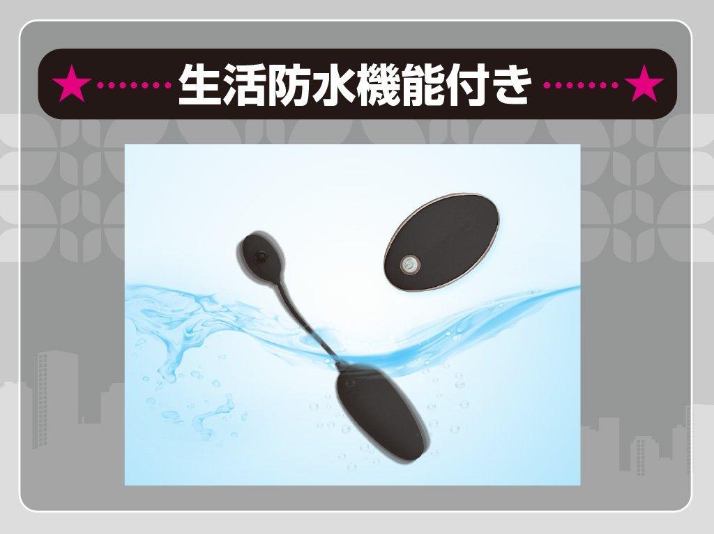 JAPANTOYZ nemo CHARGE Neo Rechargeable Remote Control Rotor Black ~Love&Leaf~