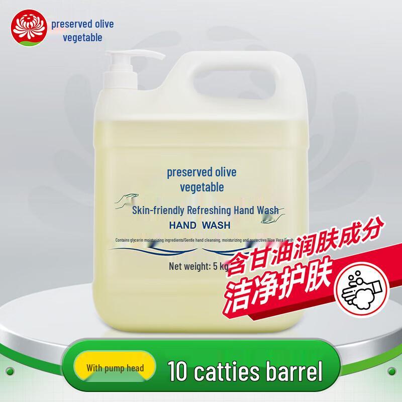 Lanjv Skin-Friendly Hand Soap Refill