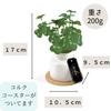 Kishima Artificial Fake Artificial Flower Air S Size Plant, Green, Non-Wilting Green, Catalytic, Deodorizing, Antibacterial, Purifying, Clover,