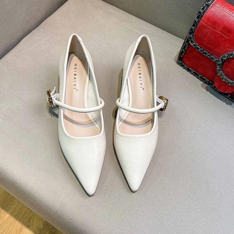 2024 Woman Elegant Summer French Pointed Toe Mary Janes Casual Chunky Heels Female Retro Shoes Low Heeled Women Shoes