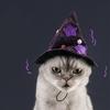 Permeable Multifunctional Hat Elegant Dogs Cats Hat Unisex Regulable Hat for Cats and Puppies