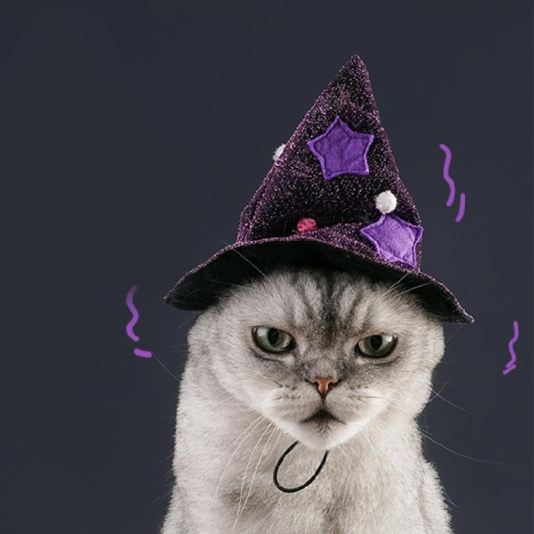 Permeable Multifunctional Hat Elegant Dogs Cats Hat Unisex Regulable Hat for Cats and Puppies