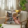 Federa per Cuscino da Lancio Gatto, Cuscino da Lancio Animale Carino, Federa per Cuscino Decorativa per Camera da Letto Casa Divano
