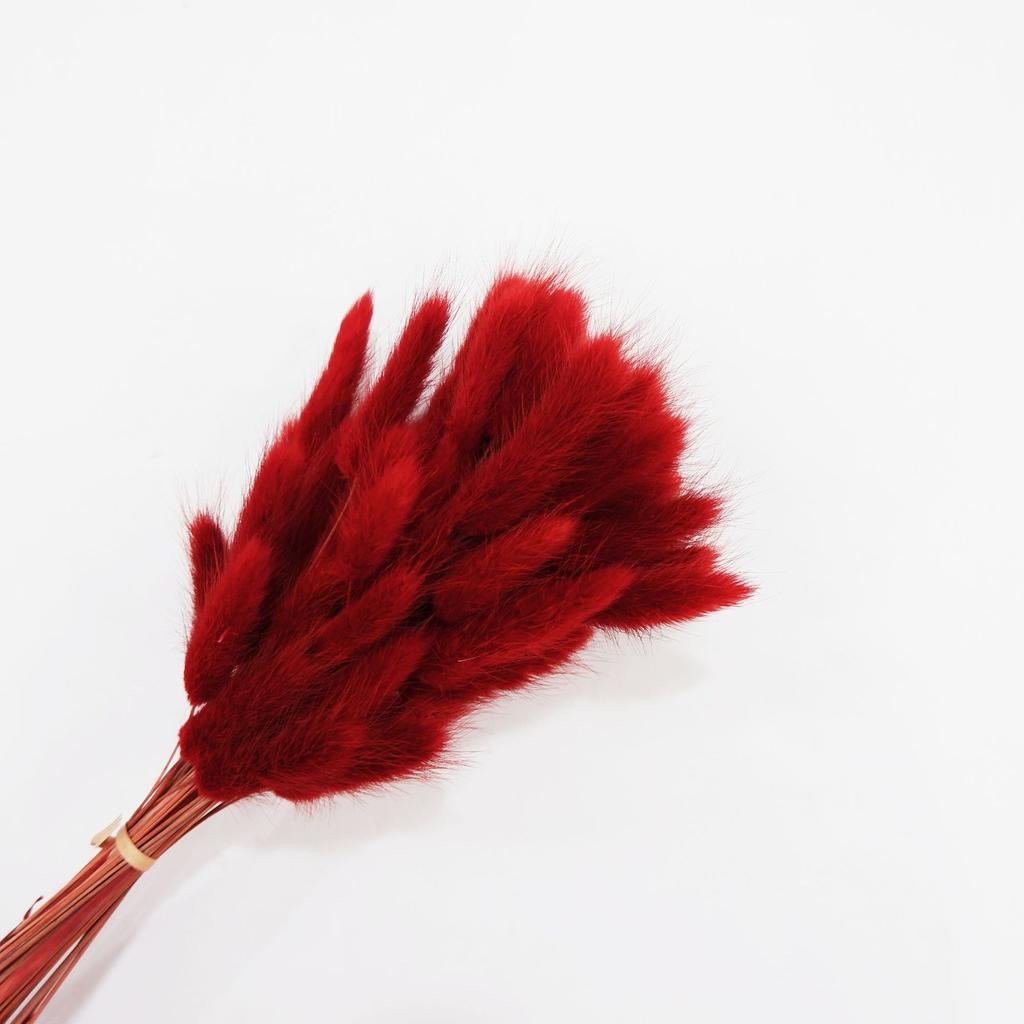 Small Reed Dried Flower Bouquet Small Whisk Small Pu Reed Reed Dried Flower Rabbittail