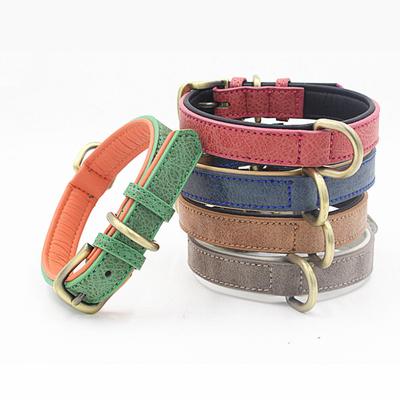 Köpek – Köpek Tasmaları ve Tasma Kayışları